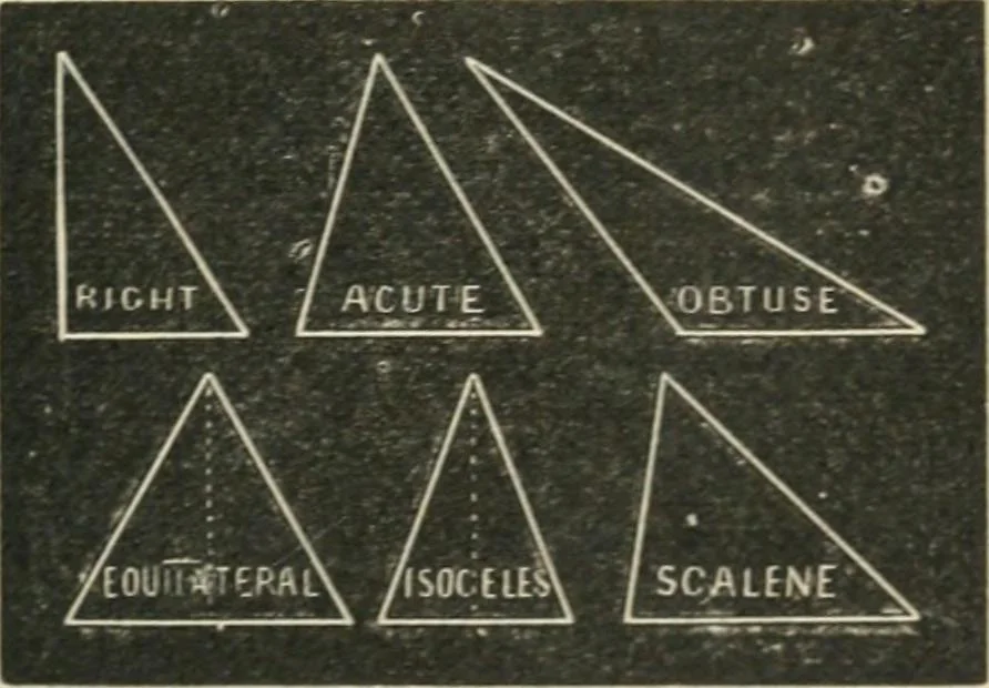An illustration from Teacher's manual for freehand drawing in intermediate schools, 1876, leaf 66