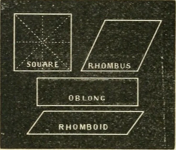 An illustration from Teacher's manual for freehand drawing in intermediate schools, 1876, leaf 69