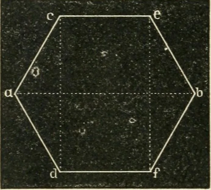An illustration from Teacher's manual for freehand drawing in intermediate schools, 1876, leaf 71