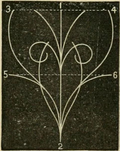 An illustration from Teachers' manual for freehand drawing in primary schools, 1878, leaf 128
