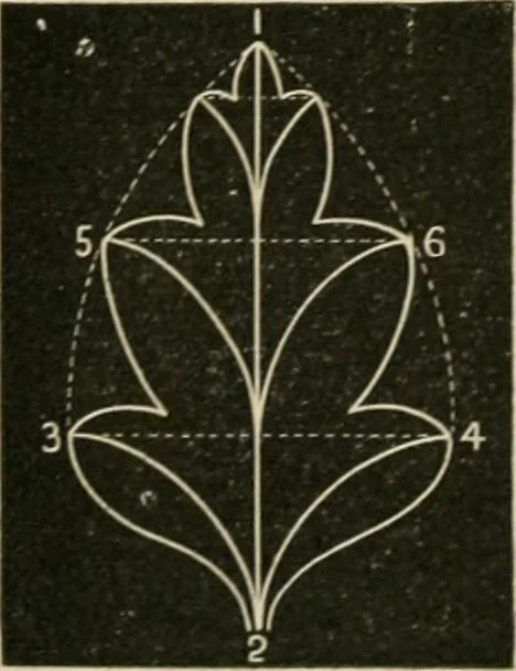 An illustration from Teachers' manual for freehand drawing in primary schools, 1878, leaf 143