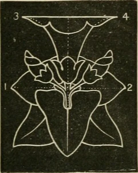 An illustration from Teachers' manual for freehand drawing in primary schools, 1878, leaf 145