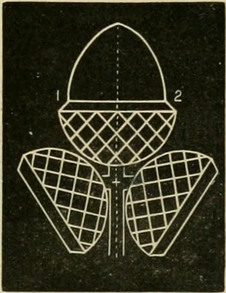 An illustration from Teachers' manual for freehand drawing in primary schools, 1878, leaf 154