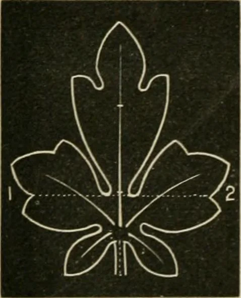 An illustration from Teachers' manual for freehand drawing in primary schools, 1878, leaf 159