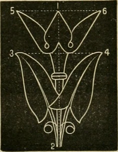 An illustration from Teachers' manual for freehand drawing in primary schools, 1878, leaf 160