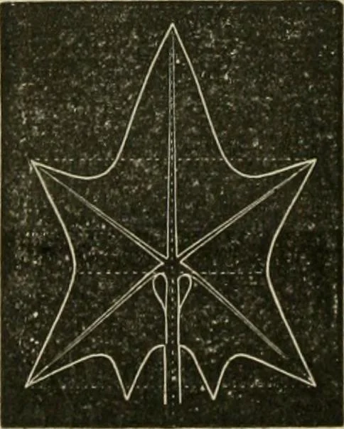 An illustration from Teachers' manual for freehand drawing in primary schools, 1878, leaf 165