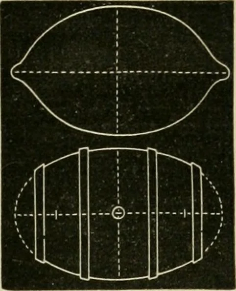 An illustration from Teachers' manual for freehand drawing in primary schools, 1878, leaf 84