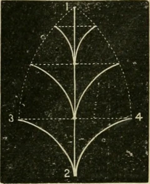 An illustration from Teachers' manual for freehand drawing in primary schools, 1878, leaf 96