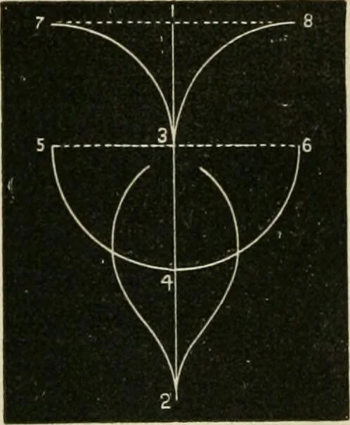 An illustration from Teachers' manual for freehand drawing in primary schools, 1878, leaf 97