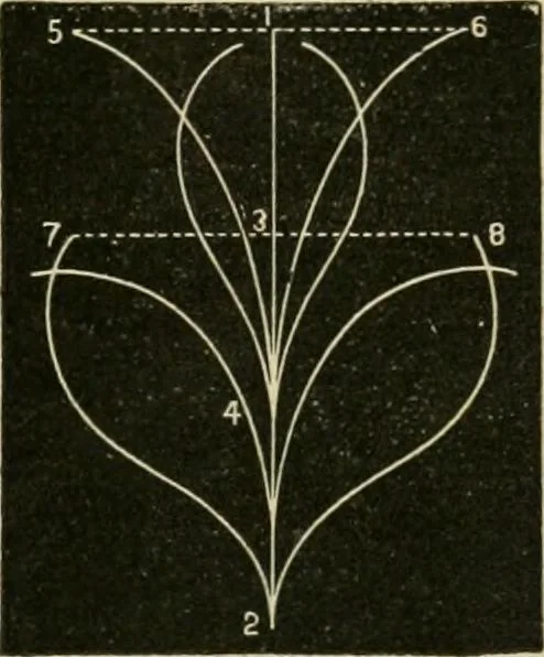 An illustration from Teachers' manual for freehand drawing in primary schools, 1878, leaf 98