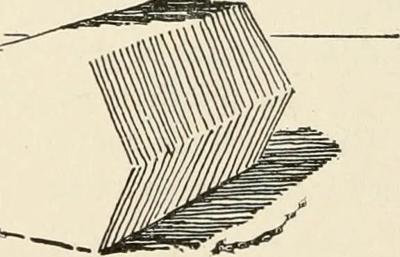 An illustration from Teachers' manual for the Prang course in drawing for graded schools, books 1-6, 1897, leaf 159