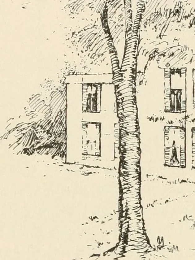 An illustration from Teachers' manual for the Prang course in drawing for graded schools, books 1-6, 1897, leaf 183