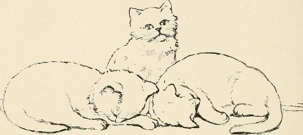 An illustration from Teachers' manual for the Prang course in drawing for graded schools, books 1-6, 1897, leaf 185