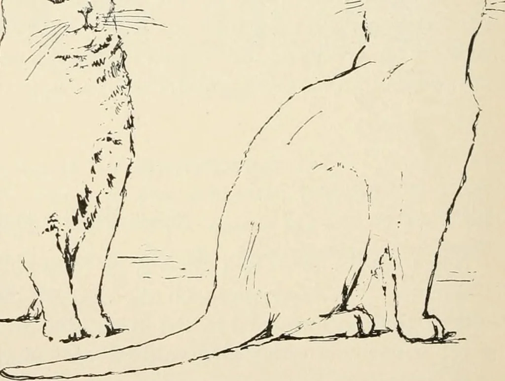 An illustration from Teachers' manual for the Prang course in drawing for graded schools, books 1-6, 1897, leaf 185