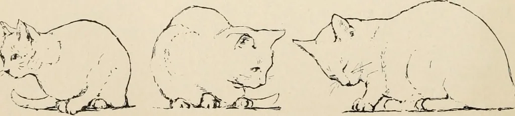 An illustration from Teachers' manual for the Prang course in drawing for graded schools, books 1-6, 1897, leaf 185