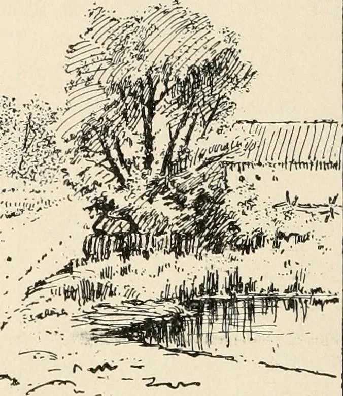 An illustration from Teachers' manual for the Prang course in drawing for graded schools, books 1-6, 1897, leaf 217