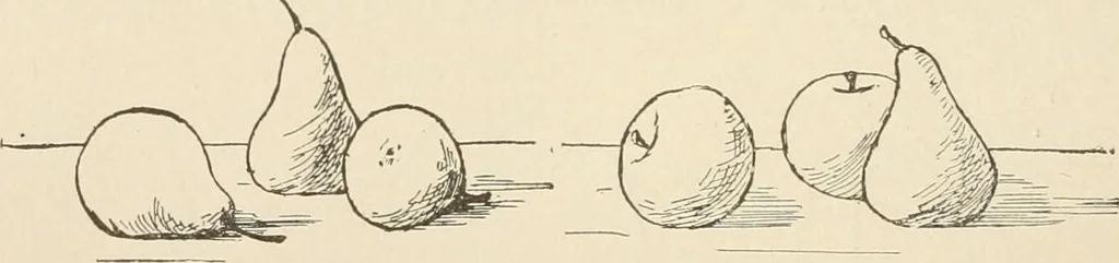 An illustration from Teachers' manual for the Prang course in drawing for graded schools, books 1-6, 1897, leaf 35