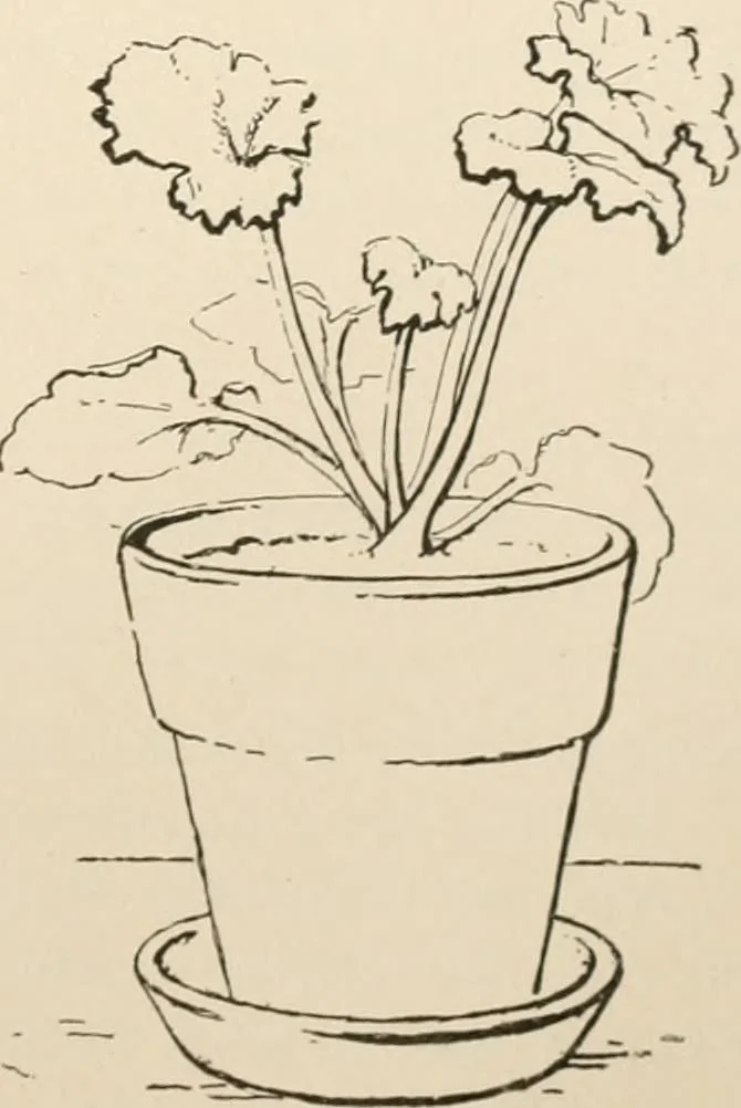 An illustration from Teachers' manual for the Prang course in drawing for graded schools, books 1-6, 1897, leaf 48