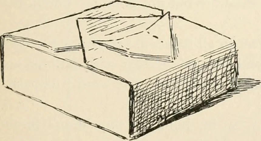 An illustration from Teachers' manual for the Prang course in drawing for graded schools, books 1-6, 1897, leaf 84