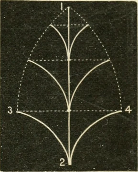 An illustration from Teachers' manual for freehand drawing in primary schools, 1875, leaf 100