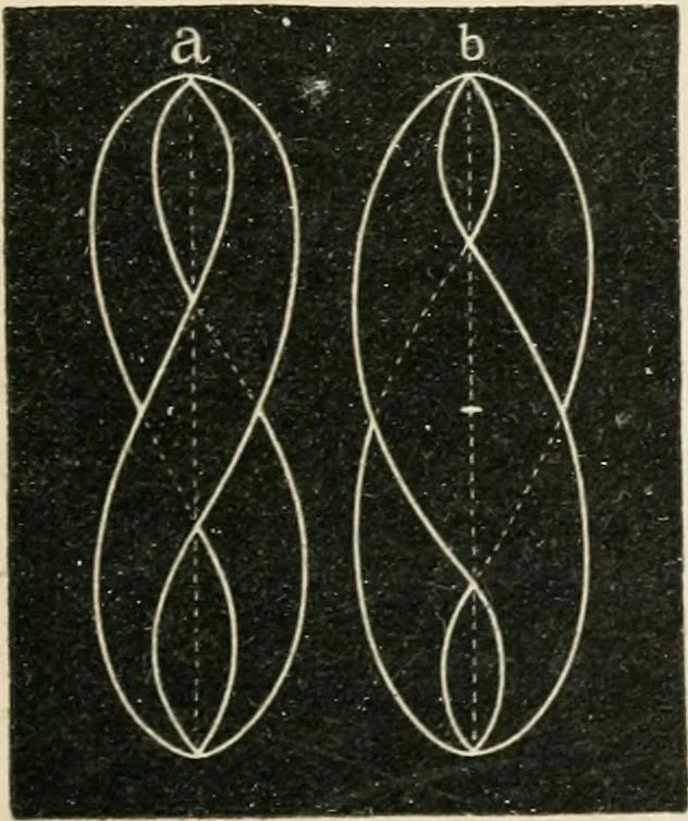 An illustration from Teachers' manual for freehand drawing in primary schools, 1875, leaf 100