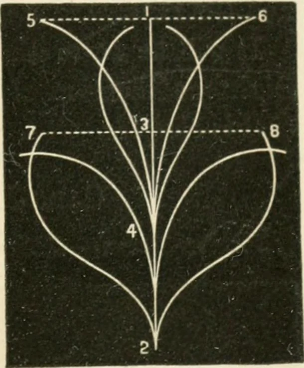 An illustration from Teachers' manual for freehand drawing in primary schools, 1875, leaf 102