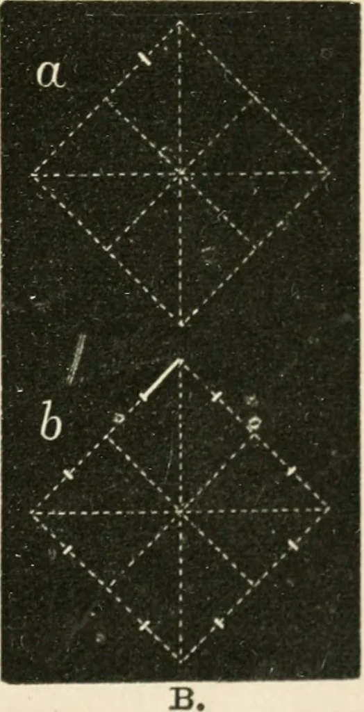 An illustration from Teachers' manual for freehand drawing in primary schools, 1875, leaf 114