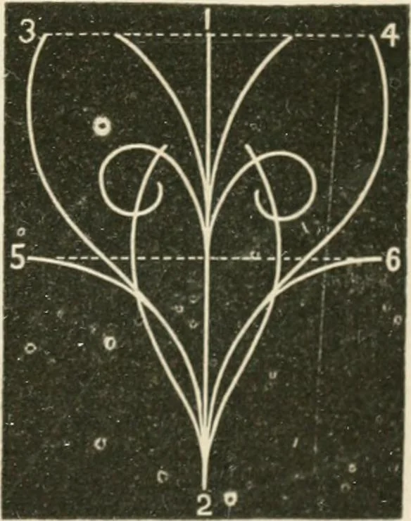 An illustration from Teachers' manual for freehand drawing in primary schools, 1875, leaf 132