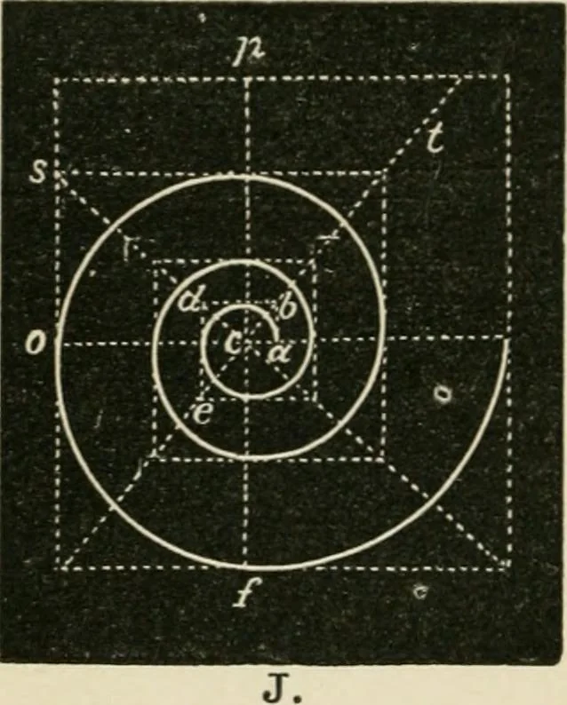 An illustration from Teachers' manual for freehand drawing in primary schools, 1875, leaf 135
