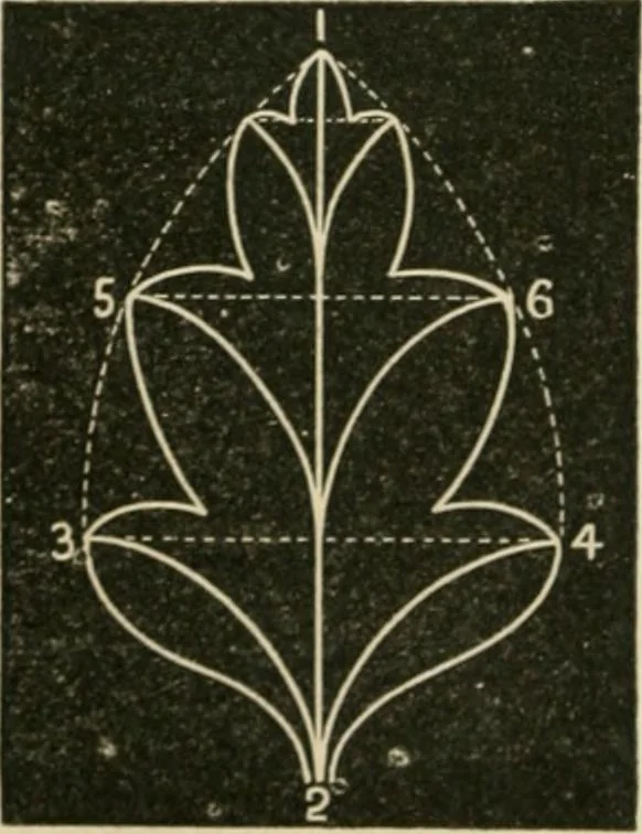 An illustration from Teachers' manual for freehand drawing in primary schools, 1875, leaf 147