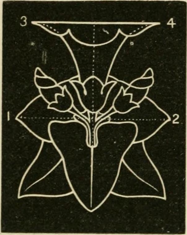 An illustration from Teachers' manual for freehand drawing in primary schools, 1875, leaf 149