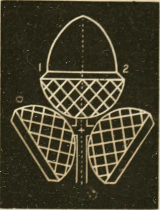 An illustration from Teachers' manual for freehand drawing in primary schools, 1875, leaf 158