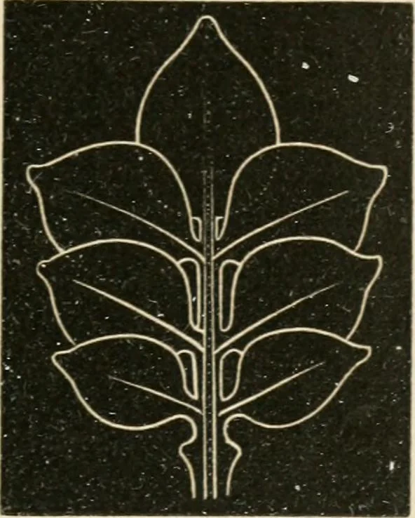 An illustration from Teachers' manual for freehand drawing in primary schools, 1875, leaf 160