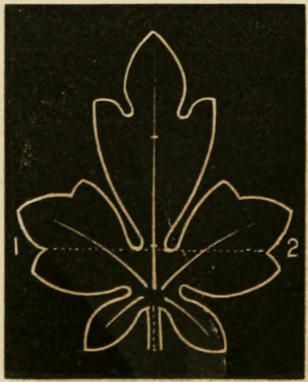 An illustration from Teachers' manual for freehand drawing in primary schools, 1875, leaf 163