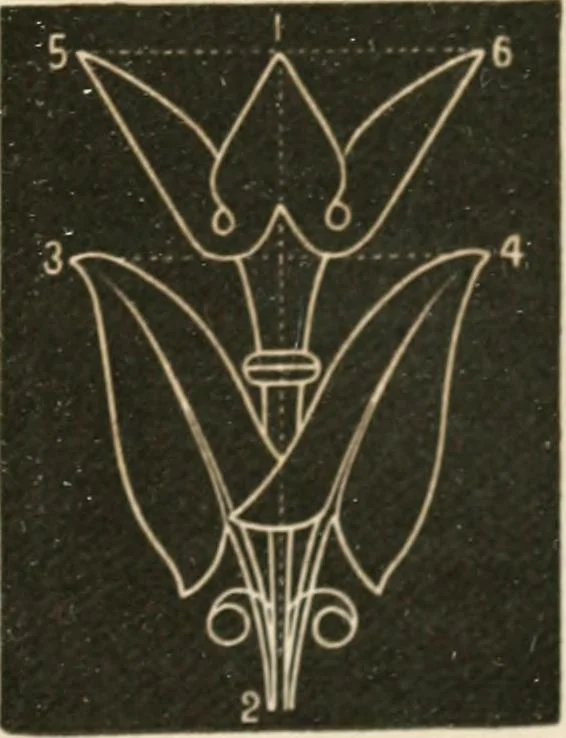 An illustration from Teachers' manual for freehand drawing in primary schools, 1875, leaf 164