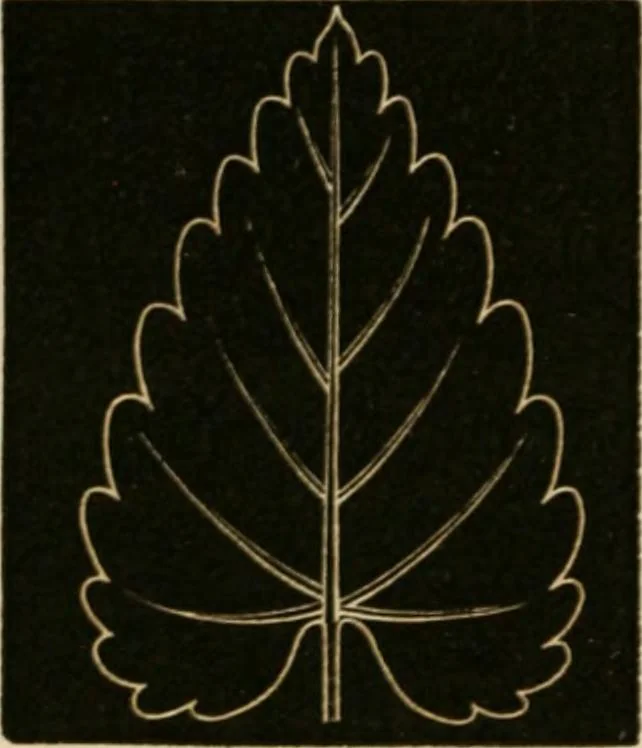 An illustration from Teachers' manual for freehand drawing in primary schools, 1875, leaf 169