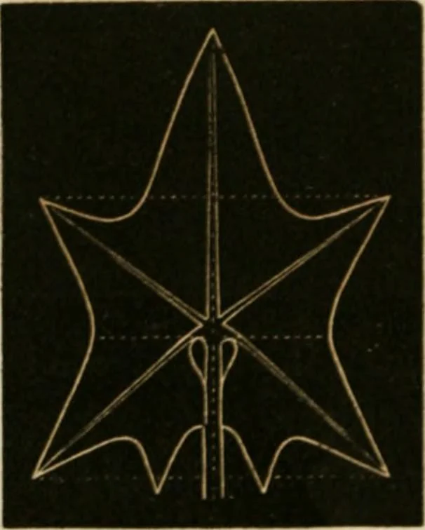 An illustration from Teachers' manual for freehand drawing in primary schools, 1875, leaf 169