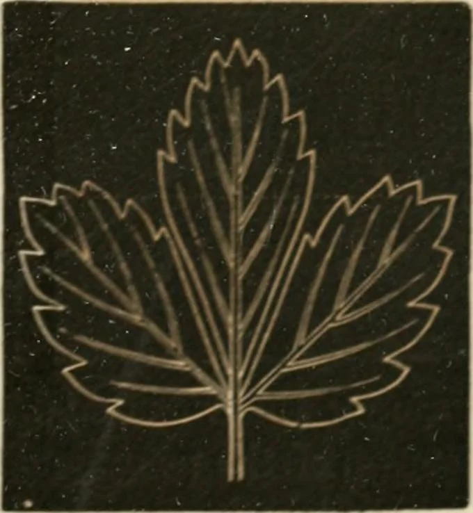 An illustration from Teachers' manual for freehand drawing in primary schools, 1875, leaf 170
