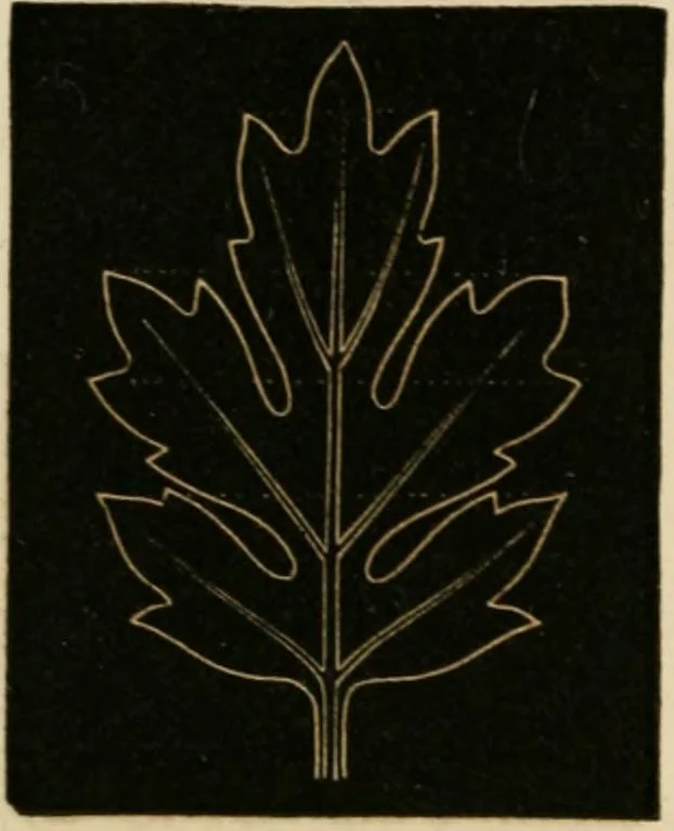 An illustration from Teachers' manual for freehand drawing in primary schools, 1875, leaf 171