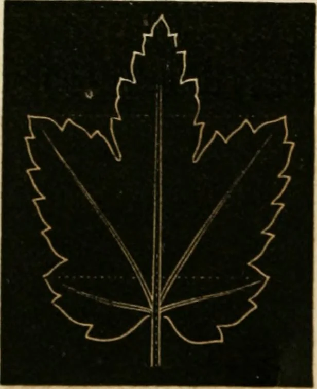 An illustration from Teachers' manual for freehand drawing in primary schools, 1875, leaf 171