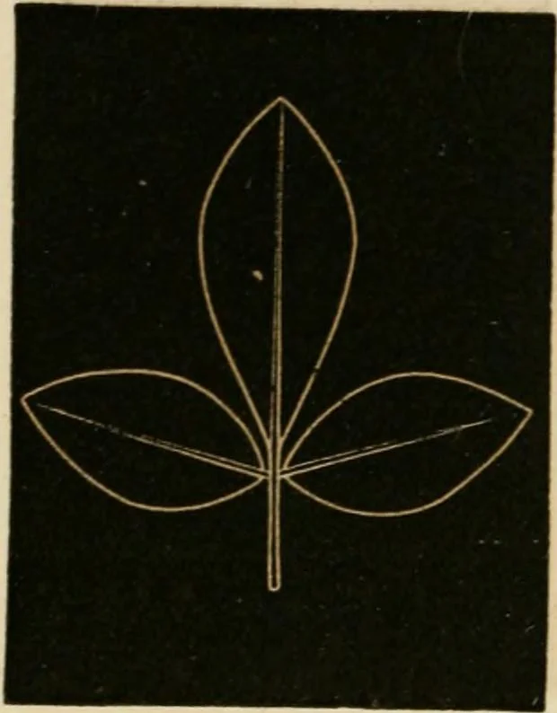 An illustration from Teachers' manual for freehand drawing in primary schools, 1875, leaf 173