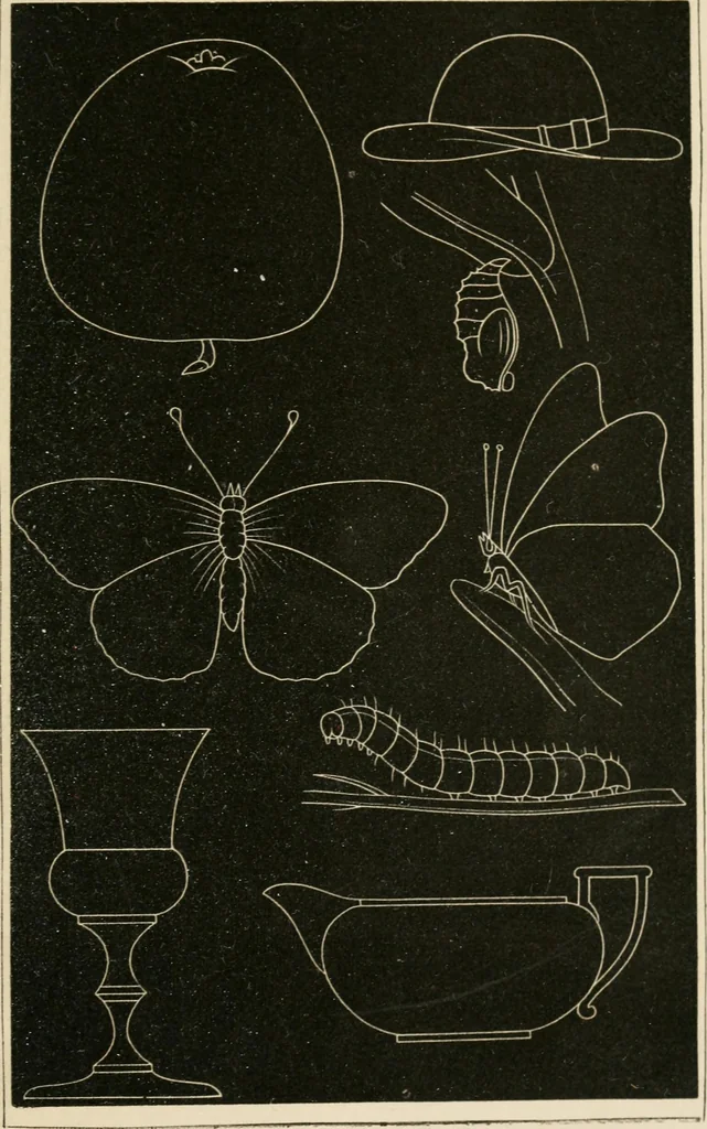 An illustration from Teachers' manual for freehand drawing in primary schools, 1875, leaf 178