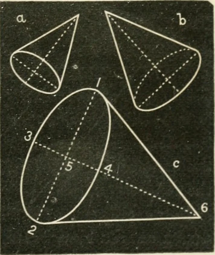 An illustration from Teachers' manual for freehand drawing in primary schools, 1875, leaf 80