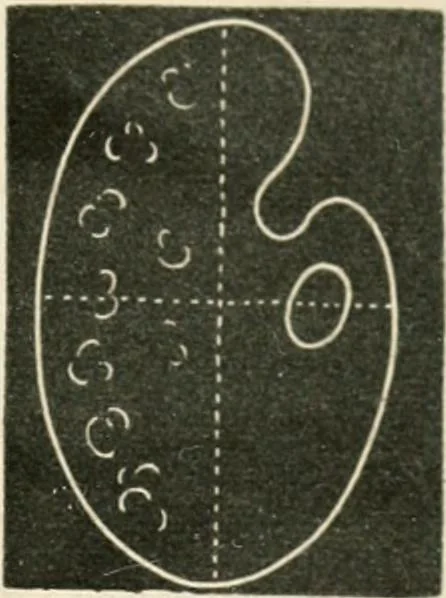 An illustration from Teachers' manual for freehand drawing in primary schools, 1875, leaf 84