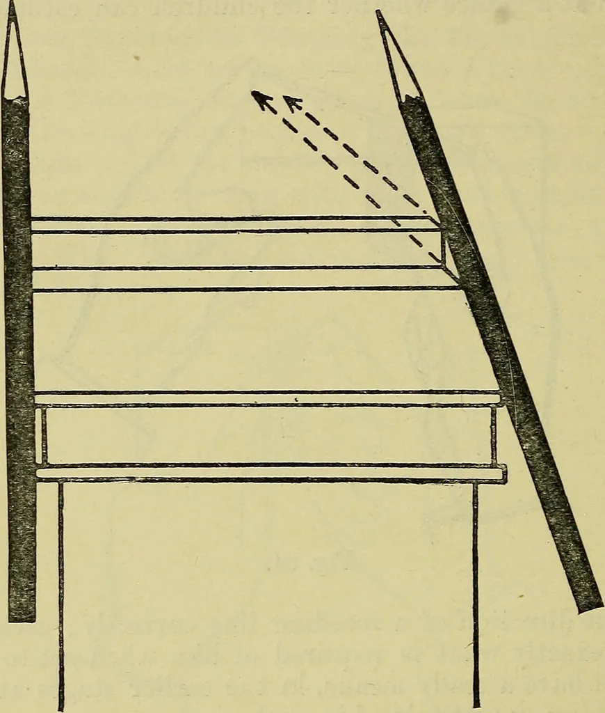An illustration from The teaching of drawing : its aims and methods, 1910, leaf 101