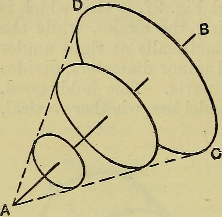 An illustration from The teaching of drawing : its aims and methods, 1910, leaf 109