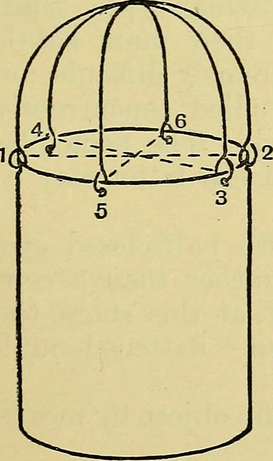 An illustration from The teaching of drawing : its aims and methods, 1910, leaf 110