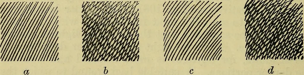 An illustration from The teaching of drawing : its aims and methods, 1910, leaf 115