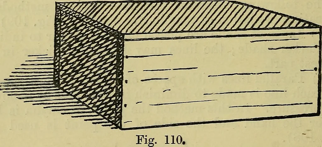 An illustration from The teaching of drawing : its aims and methods, 1910, leaf 117