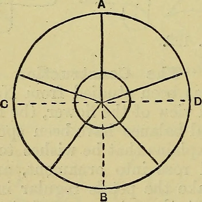 An illustration from The teaching of drawing : its aims and methods, 1910, leaf 127